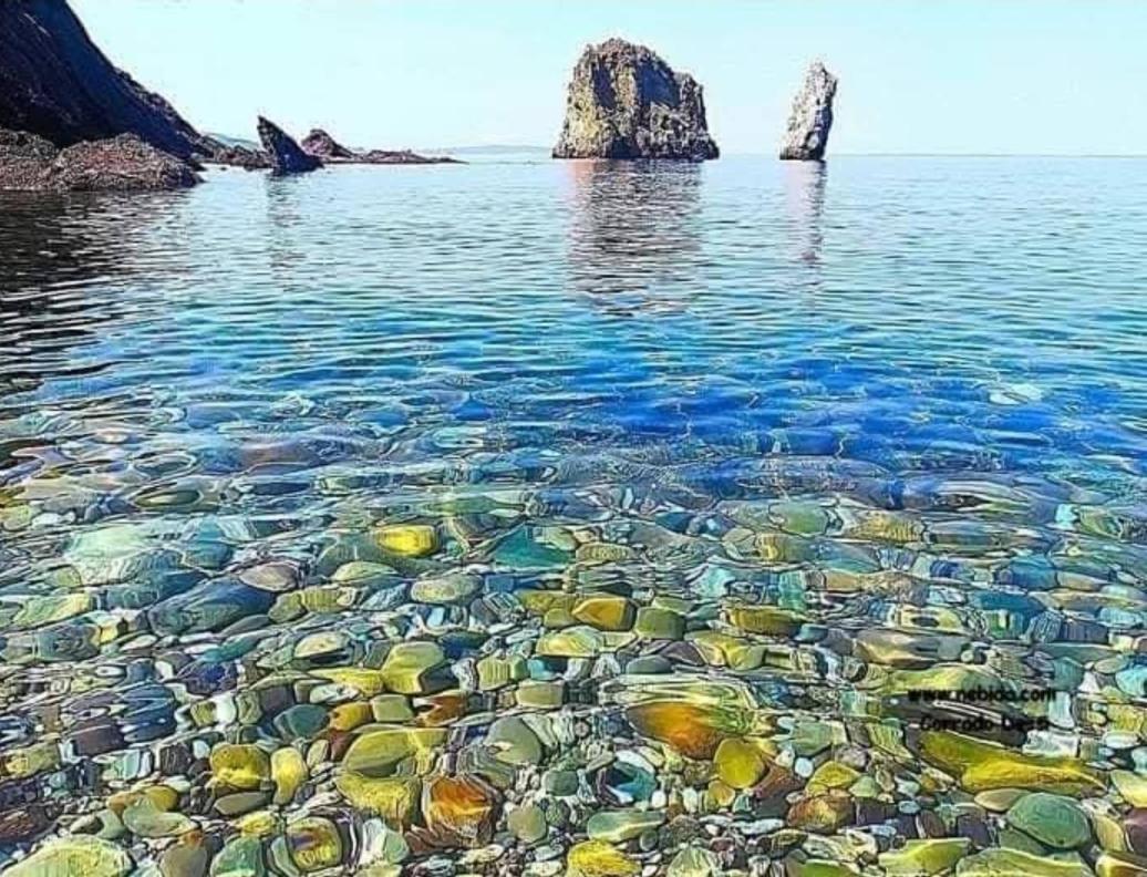 Casa Vacanza Sa Dommu De Teresa Nebida 외부 사진